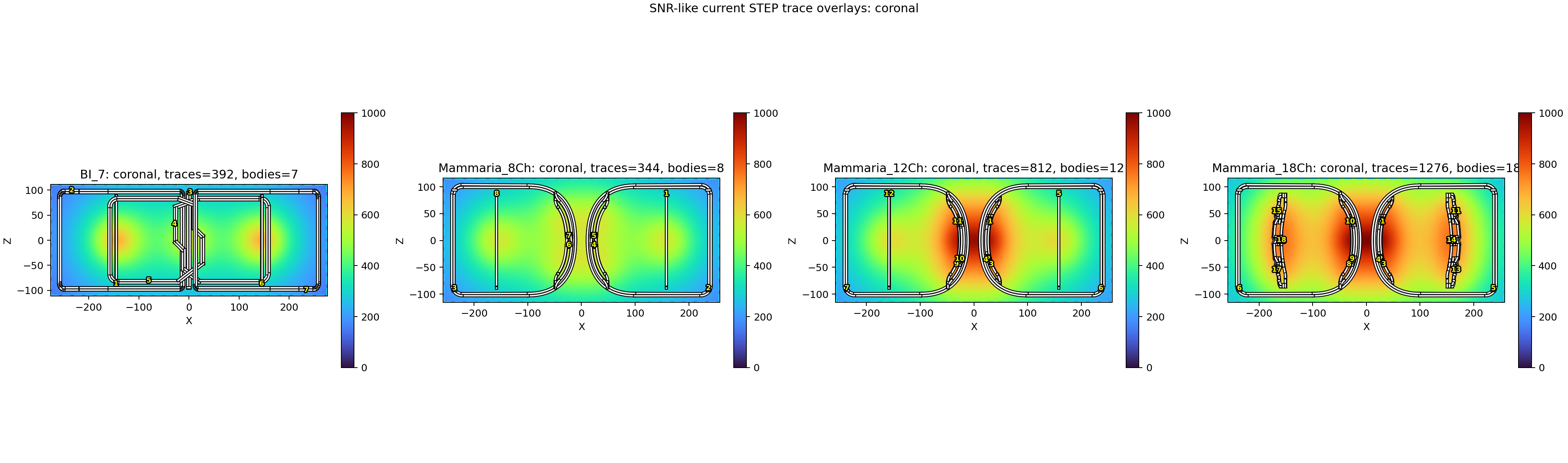 SNR-like coronal overlay