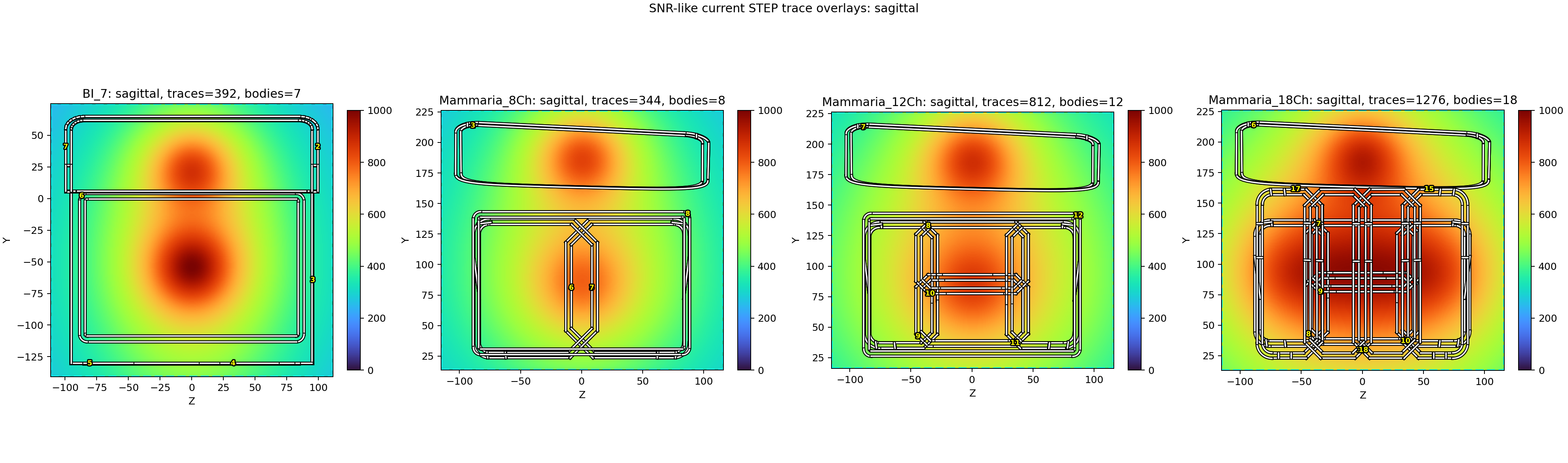 SNR-like sagittal overlay